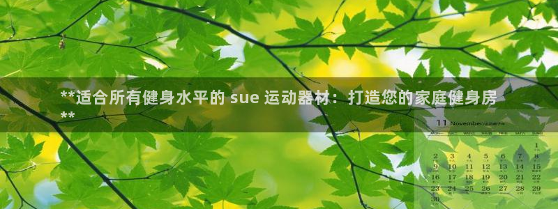 意昂3新能源：**适合所有健身水平的 sue 运动器