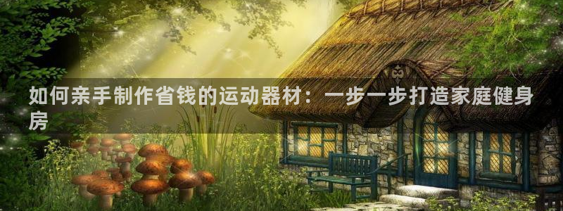 意昂体育3平台注册流程视频：如何亲手制作省钱的运动器