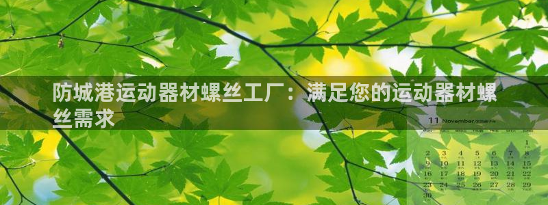意昂体育3开户：防城港运动器材螺丝工厂：满足您的运动