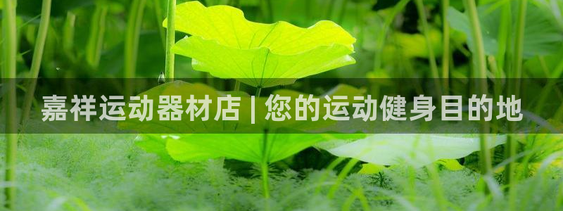 意昂体育3招商电话地址：嘉祥运动器材店 | 您的运动