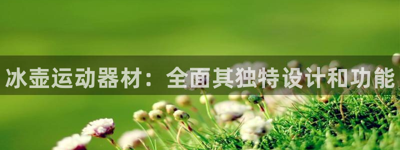 意昂体育3招商电话是多少号码：冰壶运动器材：全面其独
