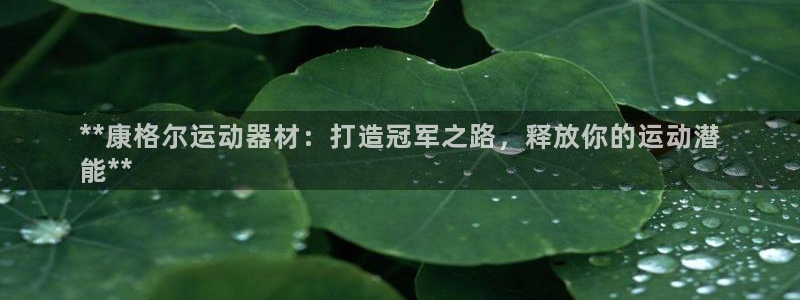 意昂体育3平台APP：**康格尔运动器材：打造冠军之