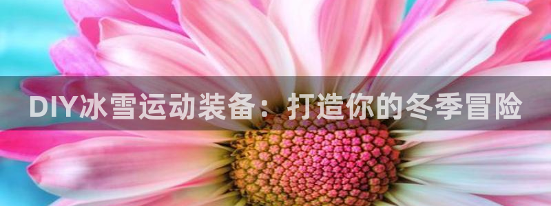意昂体育3招商电话号码是多少啊：DIY冰雪运动装备：