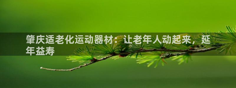 意昂体育3：肇庆适老化运动器材：让老年人动起来，延
