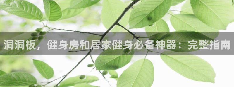 意昂3集团官网网址：洞洞板，健身房和居家健身必备神器
