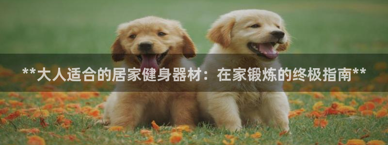 意昂体育3平台是正规平台吗：**大人适合的居家健身器