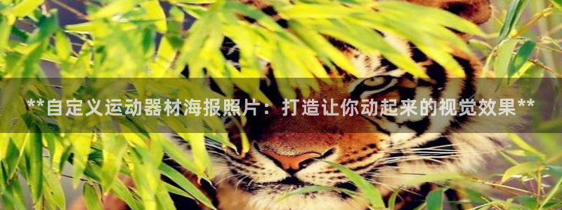 意昂体育3招商电话是多少啊：**自定义运动器材海报照