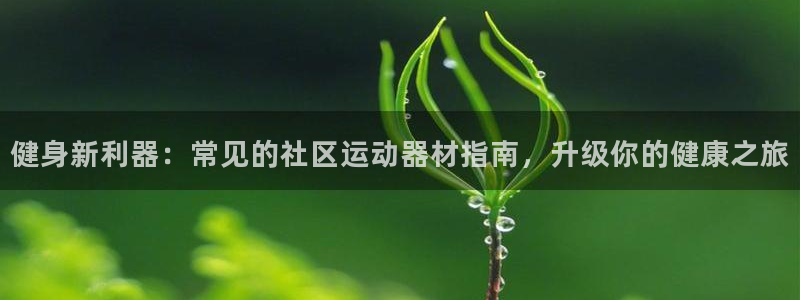 海南意昂体育3：健身新利器：常见的社区运动器材指南，