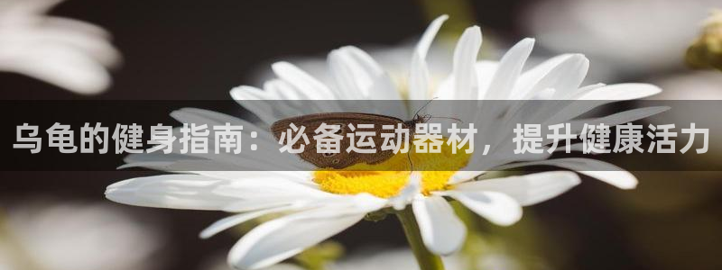 意昂3集团：乌龟的健身指南：必备运动器材，提升健康活