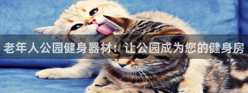 意昂体育3平台注册要钱吗是真的吗：老年人公园健身器材