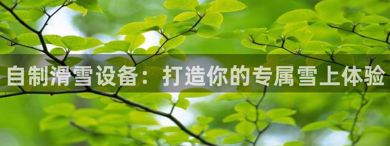 意昂3开户：自制滑雪设备：打造你的专属雪上体验