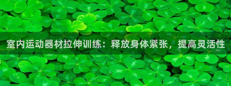 意昂体育3招商电话号码查询：室内运动器材拉伸训练：释