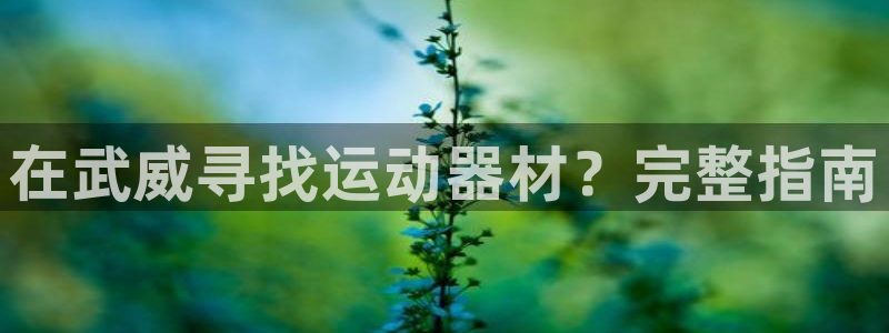 意昂体育3开户