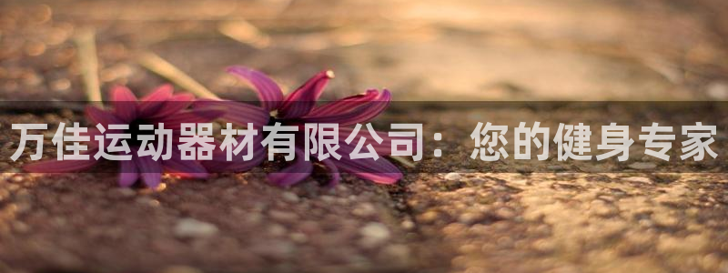 意昂3娱乐首页官网下载：万佳运动器材有限公司：您的健