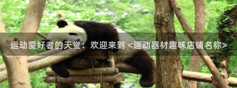 海南意昂体育3发展怎么样：运动爱好者的天堂：欢迎来到