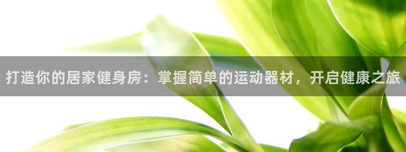 意昂体育3招商电话号码是多少号：打造你的居家健身房：