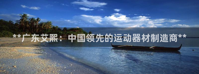 意昂3代理：**广东艾熙：中国领先的运动器材制造商*
