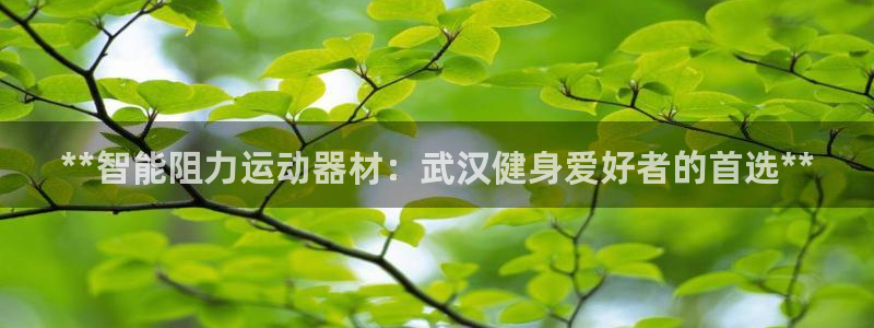 意昂体育3娱乐：**智能阻力运动器材：武汉健身爱好者