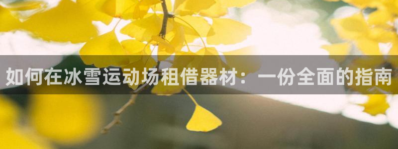 意昂3科技：如何在冰雪运动场租借器材：一份全面的指南