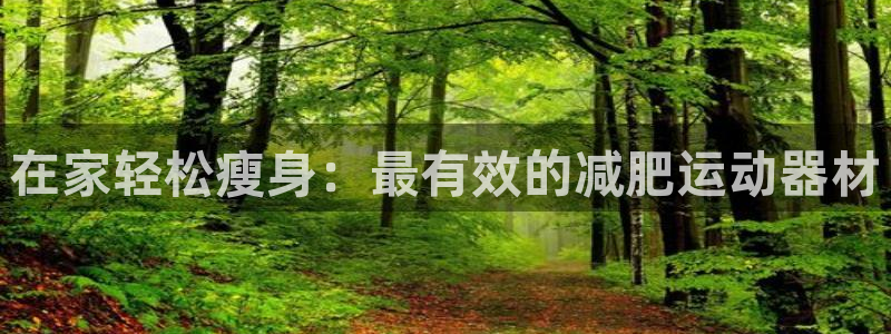 意昂3娱乐网站：在家轻松瘦身：最有效的减肥运动器材