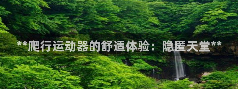 意昂3娱乐首页网站大全：**爬行运动器的舒适体验：隐