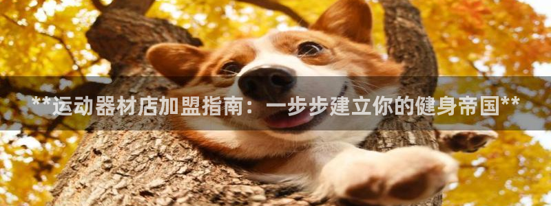 意昂体育3平台：**运动器材店加盟指南：一步步建立你
