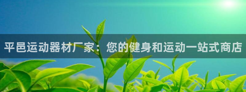 意昂3官网：平邑运动器材厂家：您的健身和运动一站式商