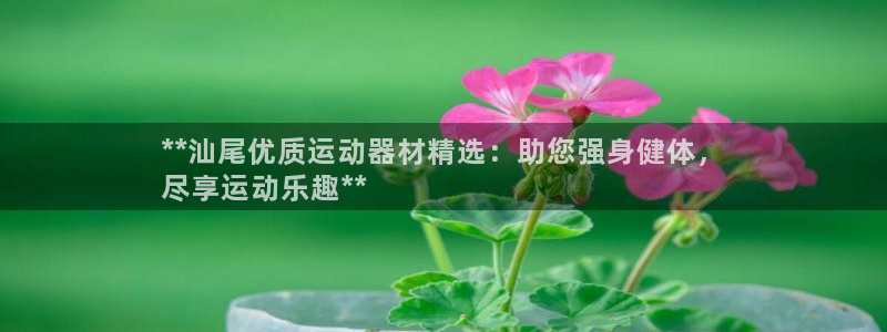 意昂体育3招商电话号码：**汕尾优质运动器材精选：助