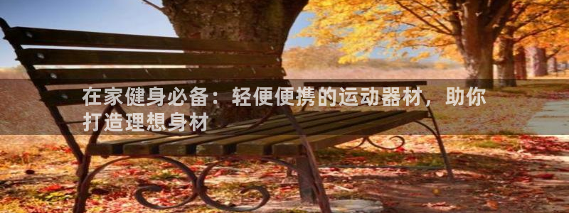 意昂体育3软件：在家健身必备：轻便便携的运动器材，助
