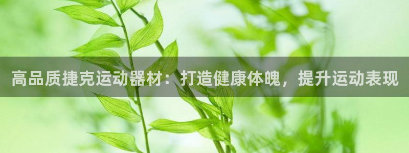 意昂3集团：高品质捷克运动器材：打造健康体魄，提升运