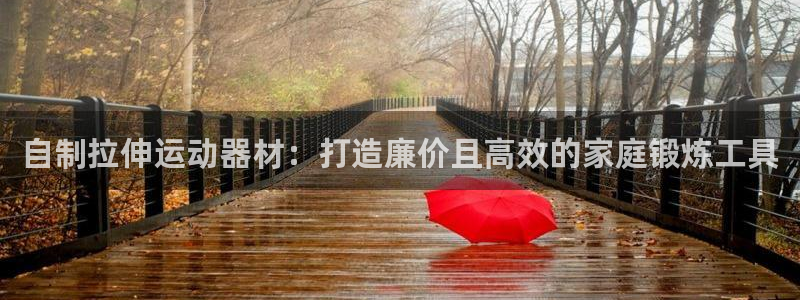 意昂体育3招商电话是多少号码：自制拉伸运动器材：打造