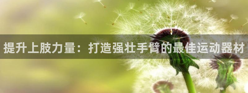 意昂3科技：提升上肢力量：打造强壮手臂的最佳运动器材