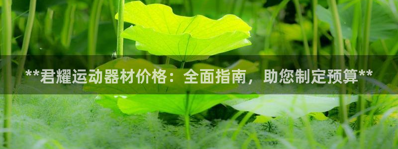 意昂体育3娱乐：**君耀运动器材价格：全面指南，助您