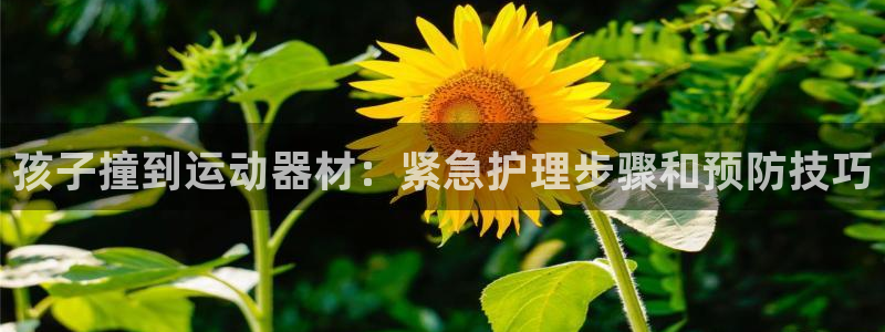 意昂3集团官网网址：孩子撞到运动器材：紧急护理步骤和