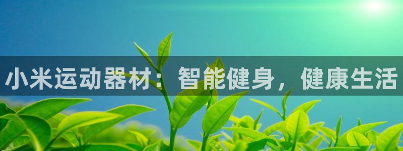 意昂3娱乐40996：小米运动器材：智能健身，健康生