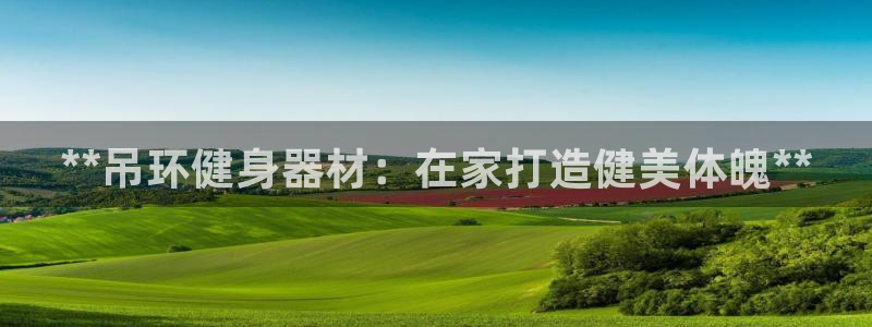 意昂体育3平台APP：**吊环健身器材：在家打造健美体魄**