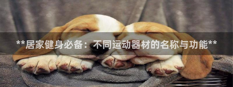意昂体育3开户：**居家健身必备：不同运动器材的名称