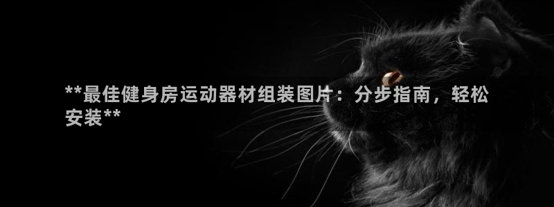 海南意昂体育3发展怎么样：**最佳健身房运动器材组装