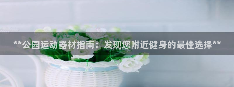 意昂体育3是干嘛的公司：**公园运动器材指南：发现您