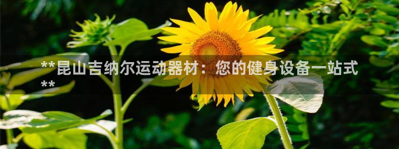 意昂3集团E.ON：**昆山吉纳尔运动器材：您的健身