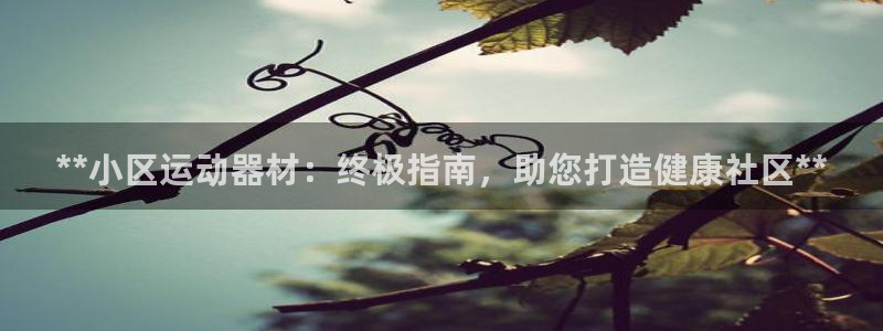 意昂3开户：**小区运动器材：终极指南，助您打造健康