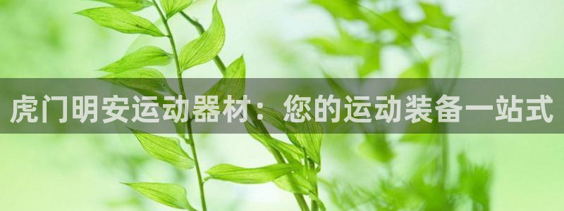 意昂体育3：虎门明安运动器材：您的运动装备一站式