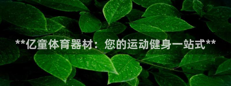 意昂3娱乐是那个系列的台子：**亿童体育器材：您的运