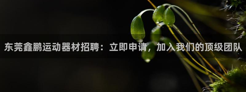 意昂体育3招商电话是多少啊：东莞鑫鹏运动器材招聘：立
