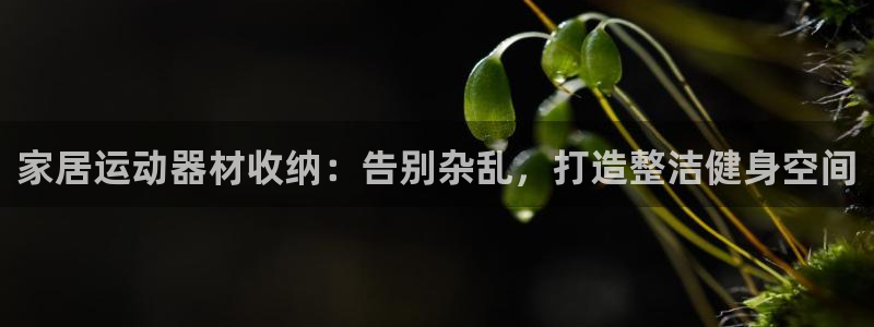 意昂体育3招商电话地址是多少：家居运动器材收纳：告别