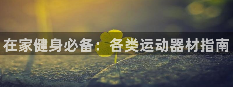 意昂体育3联系电话：在家健身必备：各类运动器材指南