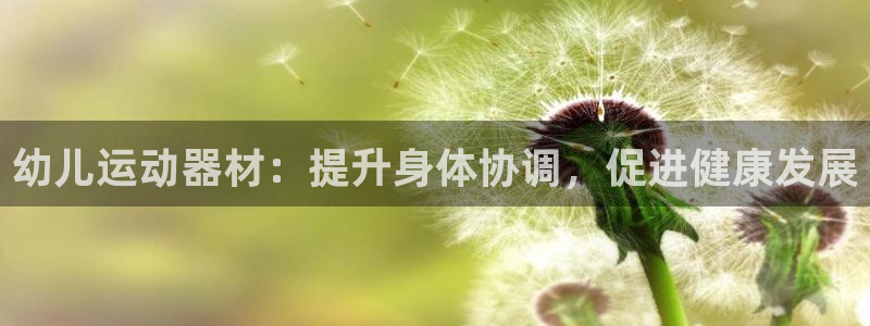 意昂体育3平台：幼儿运动器材：提升身体协调，促进健康发展