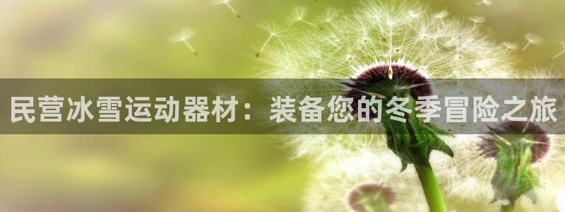 意昂3集团E.ON：民营冰雪运动器材：装备您的冬季冒险之旅