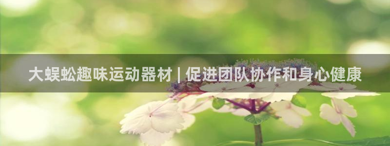 意昂3娱乐下载：大蜈蚣趣味运动器材 | 促进团队协作和身心健