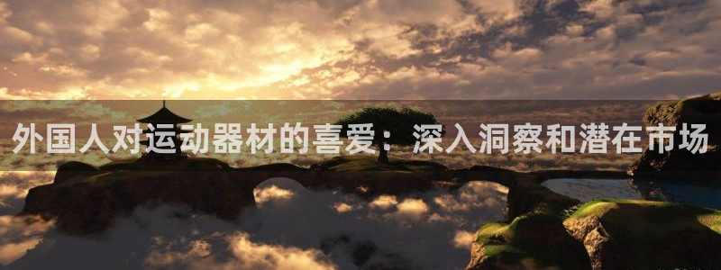 意昂体育3软件：外国人对运动器材的喜爱：深入洞察和潜
